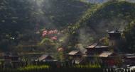 河南旅游文化：青龍山慈云寺第四屆桃花祈福文化節即將盛大開幕！